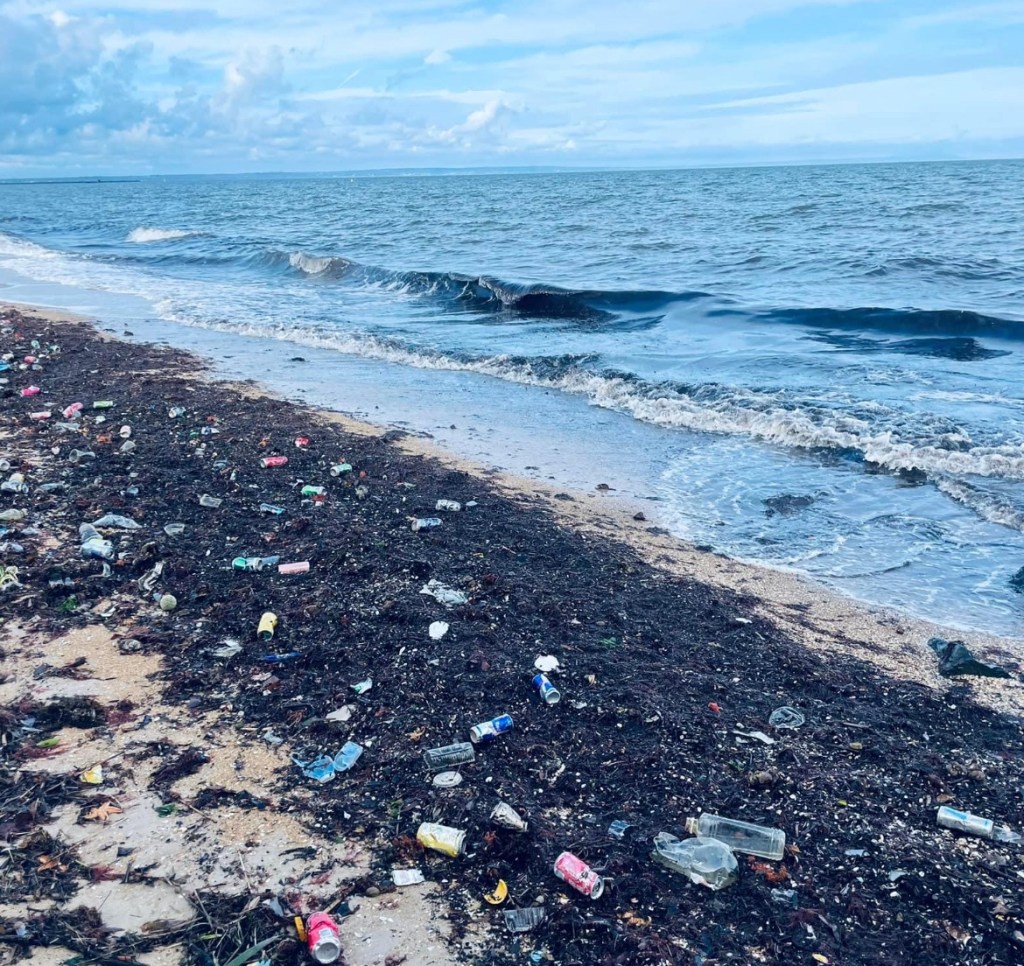 Environmental Advocacy in City of&nbsp;Kingston